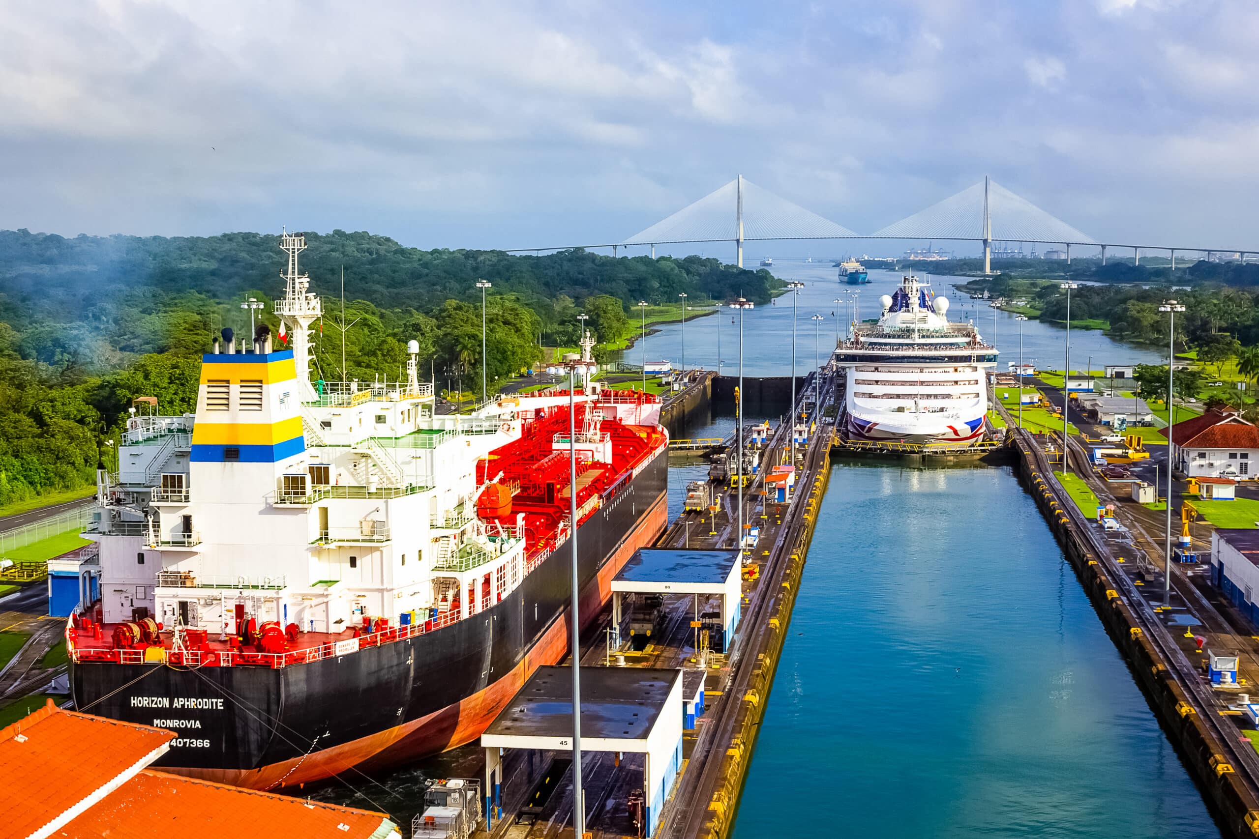 Panama Canal scene with a large red and black cargo ship on the left in a lock, a white cruise ship in a parallel lock on the right, and a cable-stayed bridge in the distance over a green landscape and waterway.