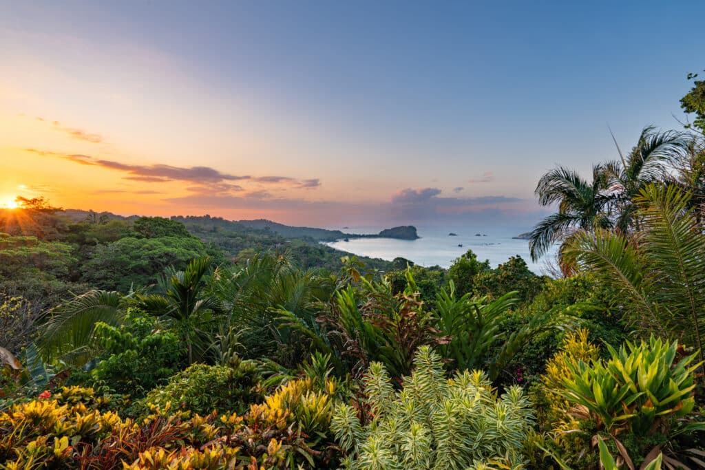 Lush tropical hillside with varied green plants in the foreground, a coastline and calm sea in the distance, and a warm sunrise casting orange and pink hues across the sky.