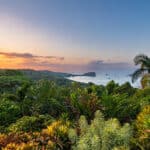 Lush tropical hillside with varied green plants in the foreground, a coastline and calm sea in the distance, and a warm sunrise casting orange and pink hues across the sky.